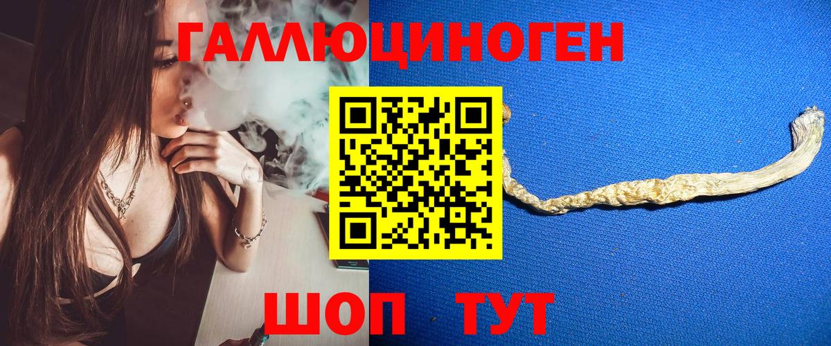 Галлюциногенные грибы Cubensis  Псилоцибиновые грибы Magic Shrooms  как найти закладки  Королёв 