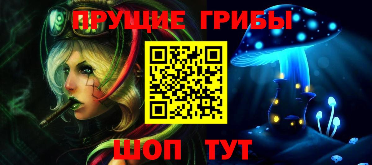 где купить   Галлюциногенные грибы GOLDEN TEACHER  Вход с VPN  Королёв 
