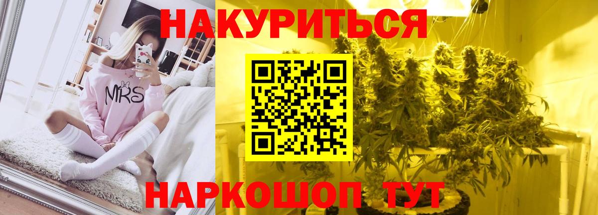 Каннабис план Королёв